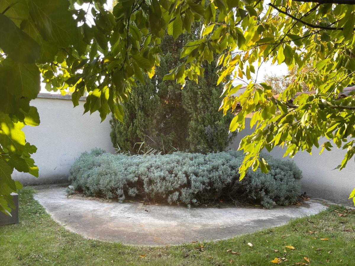 Studio Les Petits Lutins Entraigues-sur-la-Sorgue Exterior photo